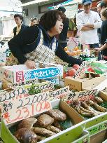 Matsutake harvest likely to be leanest in postwar years