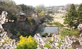 North Korea's flower-blooming hill