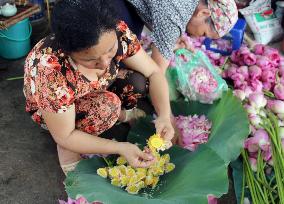 Vietnamese women gather Lotus rice' to add flavor to green tea