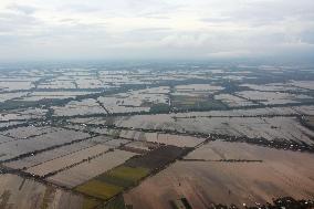 Aerial view of Mekong Delta's paddy fields