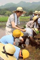 Abe experiences rice planting