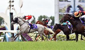 Gold Ship sails to victory in the spring Tenno-sho horse race