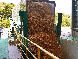 Woodchip unloaded from truck at biomass power plant in western Japan