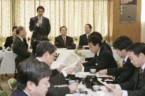 LDP panel approves extending Japanese troops' mission in Iraq