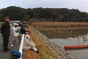 Birdwatchers gather around Ramsar-registered lake in northeast Japan