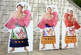Sumo star Endo's latest cutout board features "oicho" hairstyle