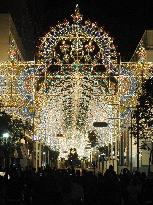 Kobe Luminarie illuminations tested