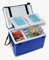 Container has 3 temperature ranges for storage