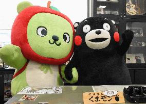 Mascots attend promotional event for central Japan region