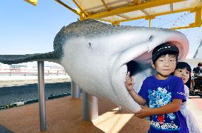 Aquarium in western Japan marks 25th anniversary