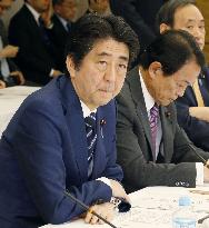 Abe orders extra budget focusing on welfare, agriculture