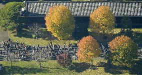 Inui road of Imperial Palace open to public