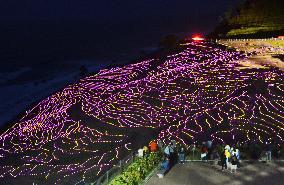 Terraced rice fields lit up with LED lighting in central Japan
