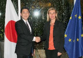 Japanese foreign minister meets EU's top diplomat in Luxembourg