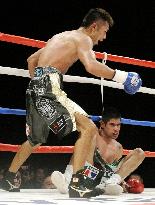 Uchiyama crowned new WBA champion