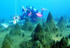 Benthic moss pillars in Antarctic lake