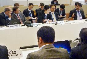 Japan explains 26% emission cut goal at Bonn climate work group