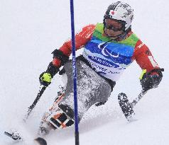 Japan's Obinata wins bronze in women's sit-slalom