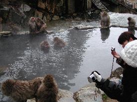 (1)Monkeys in hot spring