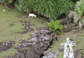 Senkaku Islands