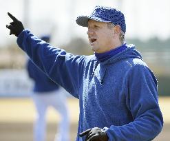 European baseball team prepares for games vs. Japan