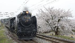 Steam locomotive train shown before operation