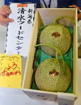 Pair of Yubari melons fetches 1.5 mil. yen at year's 1st auction