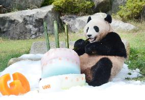 Giant panda's third birthday