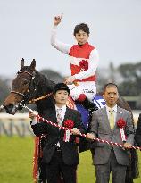 Shonan Pandora wins Japan Cup G1 horse race