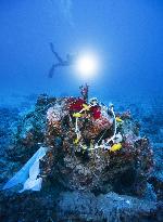 Japanese WWII suicide plane's engine lies on Okinawa seabed