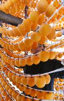 Fukushima farmer makes dried persimmons