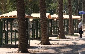 (2)Baghdad zoo looted