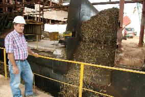 Sugar processing plant in Calimete, Cuba