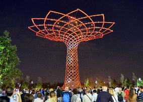 Photos from Expo Milan 2015