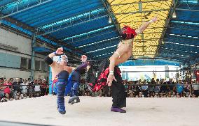 Pro wrestling group launched to invigorate wholesale market