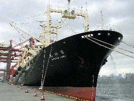 Whaling fleet returns home