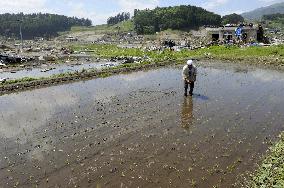 Tsunami-hit rice paddy in Iwate Pref.