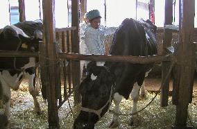 10th BSE case prompts checks in Kanagawa