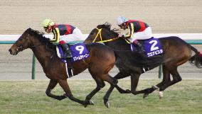 Dream Journey pips Buena Vista to win Arima Kinen