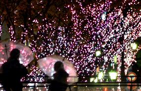 Row of cherry blossom trees replicated by LED bulbs
