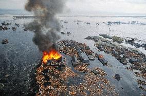 Tsunami damage in Japan