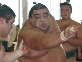 Do-or-die for Musashimaru at Kyushu sumo