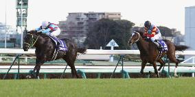 Horse racing: Goshawk Ken wins Asahi Cup Futurity Stakes