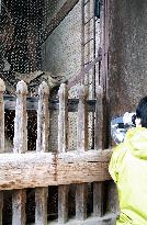 Famous gate to Todaiji temple vandalized with oily liquid