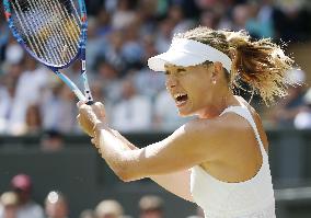 Sharapova reaches Wimbledon semifinal