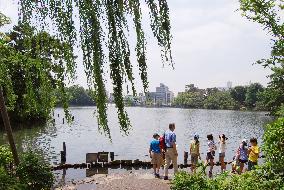 Tokyo scene: Japan's four seasons reflected at Senzoku Pond