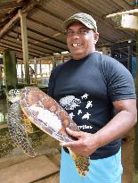 Turtle conservation project in Sri Lanka overcomes tsunami impact