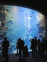 Kyoto Aquarium opens