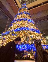 Christmas tree set up in Marunouchi Building