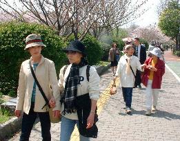 People living alone getting together to arrange funerals